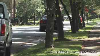 Norfolk interim police chief addresses rise in car thefts, increasing patrols