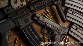 2 Chesapeake men plead guilty to owning guns as convicted felons