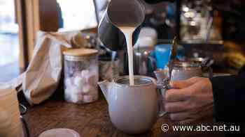 Your cup of coffee may cost '50 or 80c' more, as milk price rises hit cafes