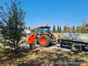 Monza: innaffiature "di soccorso" per gli alberi più giovani, "ma il 20% morirà" - Il Cittadino di Monza e Brianza