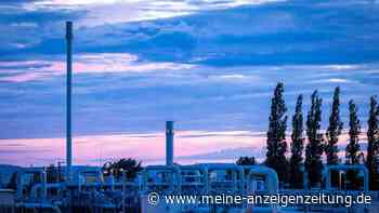 Was kommt über die Ostsee-Gaspipeline Nord Stream 1?