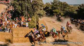 Cavalcata dell'Assunta di Fermo: ecco i nomi dei 10 cavalli che parteciperanno alla Tratta dei Barberi - Laprovinciadifermo.com