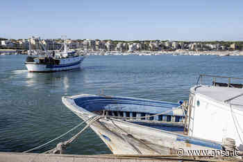 Si torna a pescare nel Lazio, questa notte termina il fermo - Terra & Gusto - Agenzia ANSA