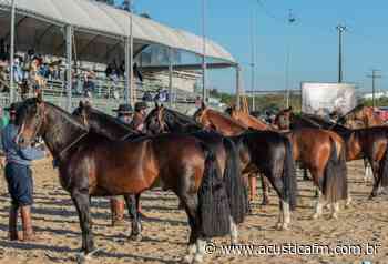 Prévia Morfológica para Expointer será realizada nesta semana em Esteio - Acústica FM
