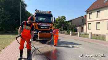 Hitze in Stadt und Land: So verlief der bisher heißeste Sommertag des Jahres 2022 in Parchim - svz – Schweriner Volkszeitung