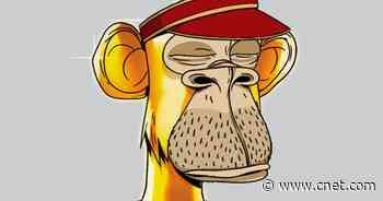 How An NFT Trader Lost $150K Trying to Troll Twitter Bots     - CNET