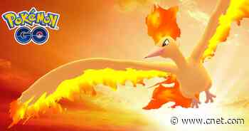 Pokemon Go Moltres Raid Guide: Best Counters, Weaknesses and Moveset     - CNET