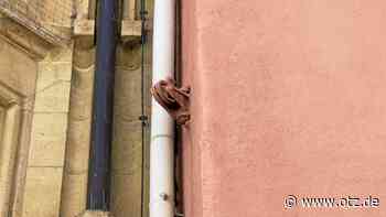 Rate-Spaß rund ums Thema Energie in Jena: Fassade hat einen Haken