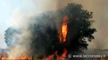 L'allarme incendi prosegue: altri interventi in Brianza - LeccoToday