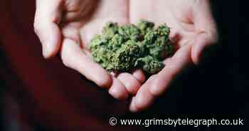 People caught with cannabis could have passports and licences taken away - Grimsby Live