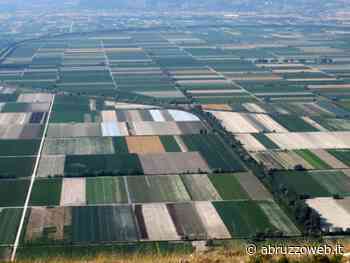 AGRICOLTURA FUCINO, GENOVESI: "NESSUNO SCIPPO, MAGGIORANZA SINDACO SOSPESO AVEZZANO CHIEDA SCUSA" | Ultime notizie di cronaca Abruzzo - Abruzzoweb.it