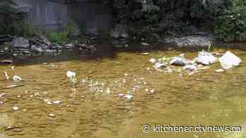 Guelph murder investigation: Police appeal to trail users - CTV News Kitchener