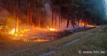 Ook kleine bosbrand in Lommel, brandweer had vuur snel onder controle - Het Laatste Nieuws
