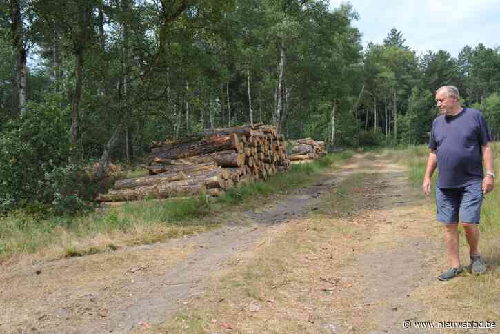Omwonenden vrezen brand op Klein Schietveld: “Onbegrijpelijk, die verdorde brandstapels tegen de rand”