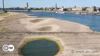 Hitzewelle: Niedrigwasser am Rhein bremst Wirtschaft - DW (Deutsch)