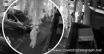 Woman held at knifepoint as burglars steal bike from garage in Coventry - Coventry Live