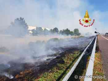 Silea, incendio sterpaglia di fianco la corsia autostradale - Prima Treviso
