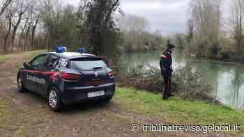 Silea, trovato senza vita il corpo di Antonella Bortolatto - La Tribuna di Treviso