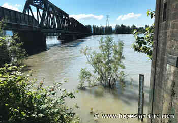 Flood threat recedes, but Fraser River still high near Langley – Hope Standard - Hope Standard
