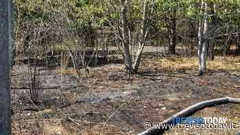 Emergenza siccità, continuano gli incendi di erba e sterpaglie in tutta la Marca - TrevisoToday