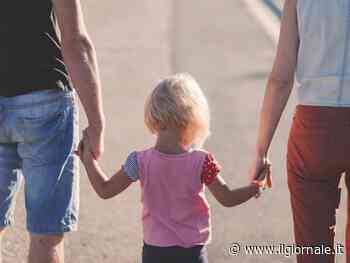 Il sostegno alle famiglie e l'erba più verde del vicino - ilGiornale.it