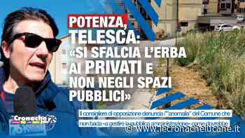 POTENZA, TELESCA: «SI SFALCIA L'ERBA AI PRIVATI E NON NEGLI SPAZI PUBBLICI» - Cronache TV