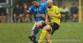 Lambton Jaffas scramble to fill defensive losses for NPL catch-up against Lake Macquarie - Newcastle Herald