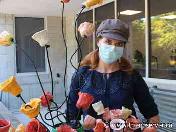 Online events celebrate contributions of women and the Irish in Lambton - The Sarnia Observer