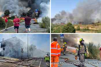 Fires across south London during heatwave- as it happened
