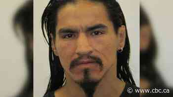 Police looking for man who allegedly assaulted 2 women in Selkirk - CBC.ca