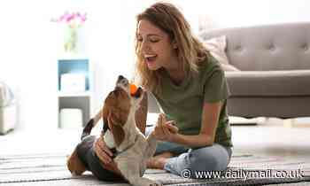 What a wag! Dogs' tails move to the right when they are with humans they love, research suggests