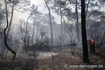 Vuur legt eeuwenoude bossen in as: 'Klimaatverandering is niet langer iets hypothetisch' - De Morgen