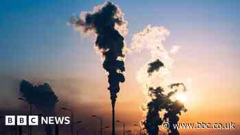 Climate change: Campaigners hail ruling on 'net zero'