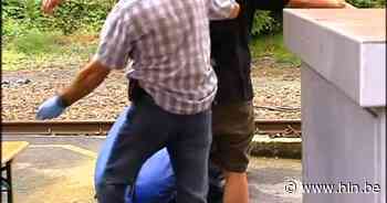 Festivalgangers 12 Inch Lovers krijgen 3.000 euro aan boetes | Alken | hln.be - Het Laatste Nieuws