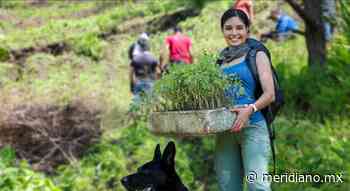 Dan vida al pulmón de Tepic | Meridiano.mx - Meridiano.mx