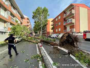 Alba, dopo il disastroso evento meteorologico del 4 luglio, si riunisce la I Commissione consiliare - TargatoCn.it
