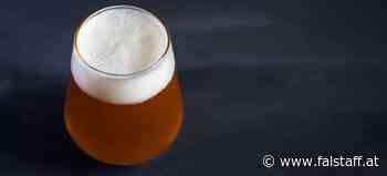 Falstaff Bier Trophy 2022: Best of Belgische Obergärige Biere