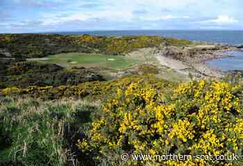 Hopeman Golf Club member Allan Reid (82) scores under his age - Northern Scot