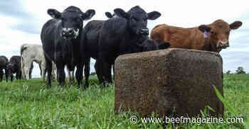 6 strategies for mineral supplementation