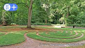 Geplantes Labyrinth in Duderstadt: Diese ähnlichen Projekte gibt es in der Region - Göttinger Tageblatt