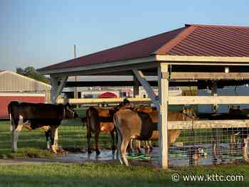 Fillmore County Fair now underway - KTTC