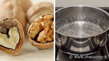 Fai bollire 5 noci e addio sudore: il perché è strabiliante - CheCucino.it