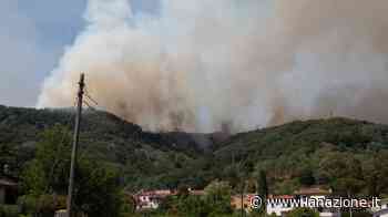 Incendio nel Pisano, cento ettari di bosco distrutti - LA NAZIONE