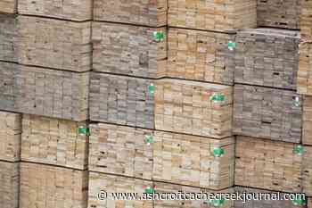 West Fraser Timber shuts down takeover report; shares spike - Ashcroft Cache Creek Journal