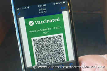 6-month suspension for B.C. nurse who created fake vaccine cards - Ashcroft Cache Creek Journal