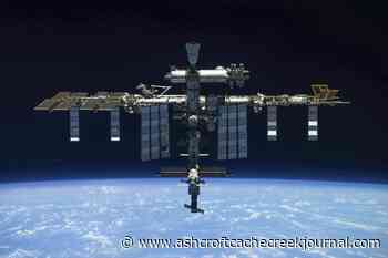 High-flying experiment: Do stem cells grow better in space? - Ashcroft Cache Creek Journal