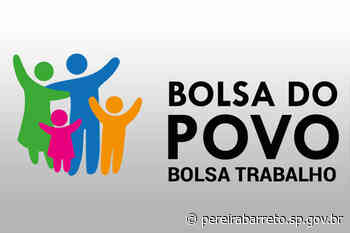 Pereira Barreto abre novas inscrições para Programa Bolsa Trabalho - pereirabarreto.sp.gov.br