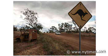 Review: ‘Dirt Creek,’ by Hayley Scrivenor and ‘Wake,’ by Shelley Burr