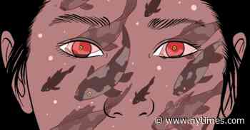 Review: ‘Fish Swimming in Dappled Water,’ by Riku Onda