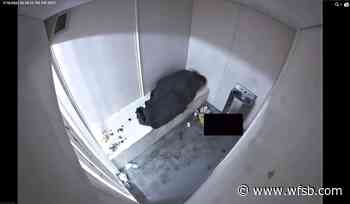 Investigation underway after man dies following medical episode in Manchester police custody - Eyewitness News 3